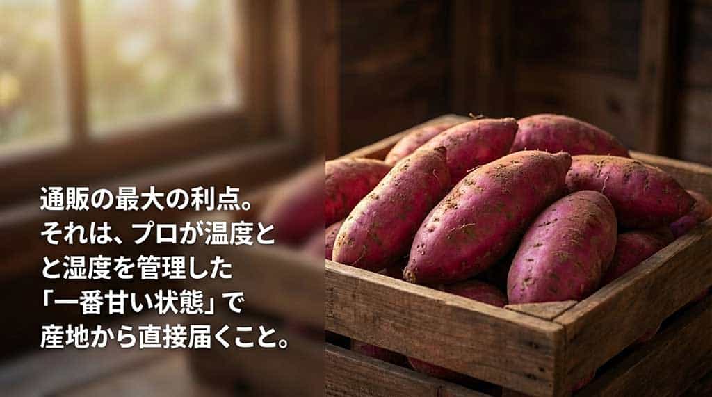 本当に美味しくなるのは11月から1月。じっくり熟成された冬が最高の食べごろであることを示す図解