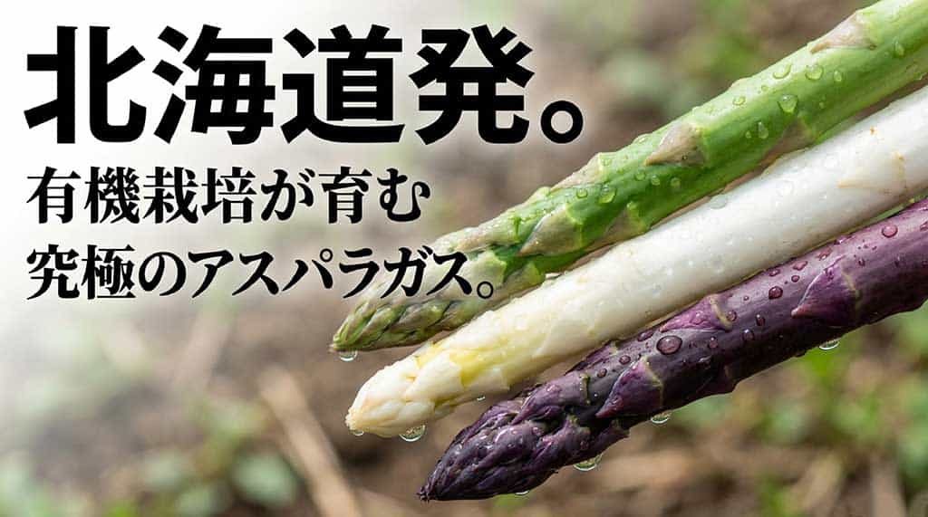 北海道の有機栽培が育む、究極のアスパラガスのイメージ画像