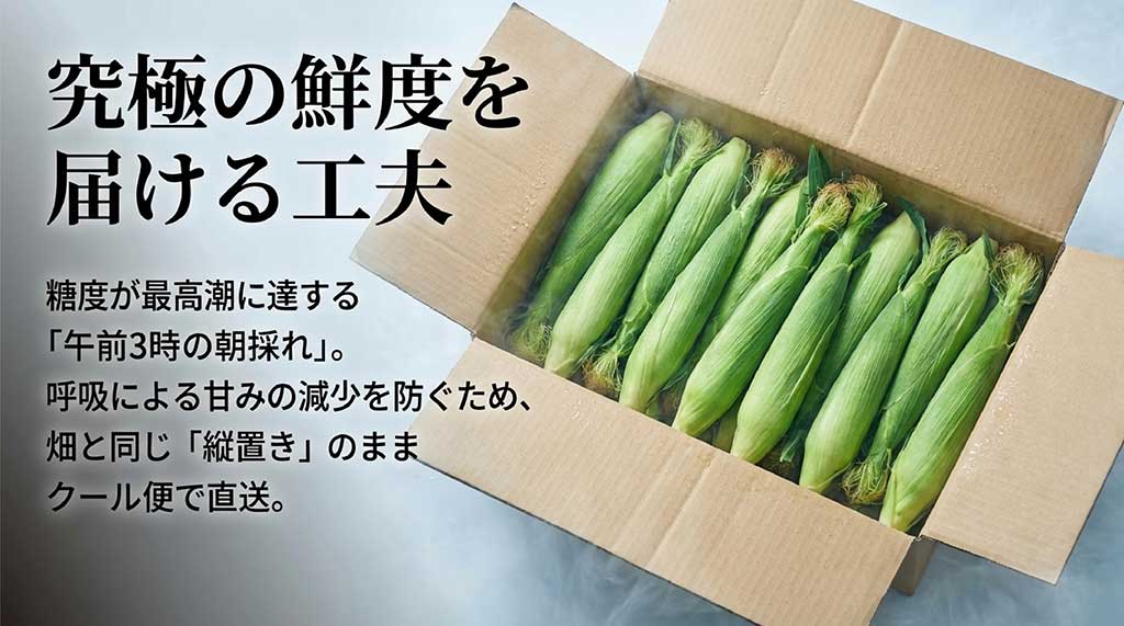 糖度が最高潮の午前3時に収穫し、呼吸による甘みの減少を防ぐため縦置きのままクール便で直送する工夫